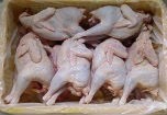 Gà thải dùng cho gia súc nhập về bán trong siêu thị