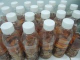 Hỏng da vì rượu ngâm rễ mật gấu