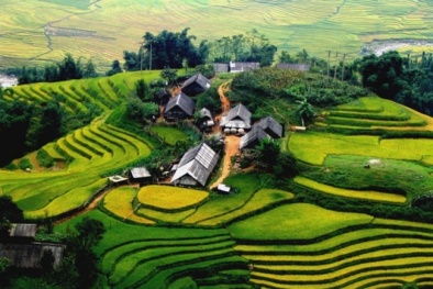 11 cánh đồng ruộng bậc thang đẹp nhất thế giới