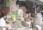 Trước 30/10 phải báo cáo chất lượng dược liệu, thuốc đông y