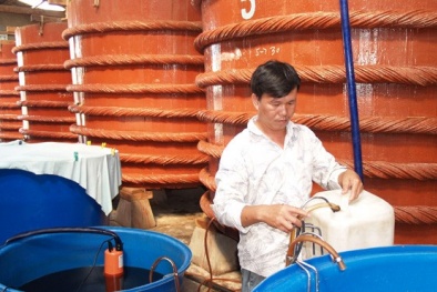 Nghịch lý nước mắm Phú Quốc