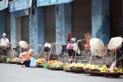 Cam siêu rẻ - Người bán không dám ăn
