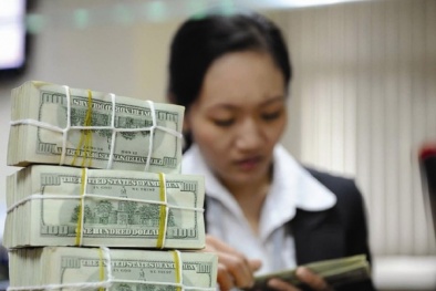 Tội phạm tham nhũng gia tăng