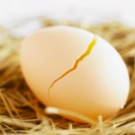Phát hiện sán trong trứng gà sống