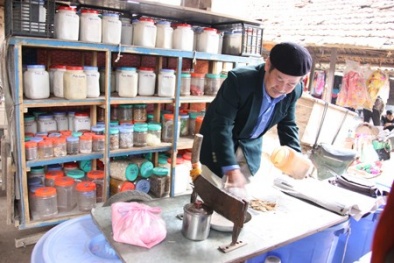 Thuốc Đông y trộn xi măng, cát