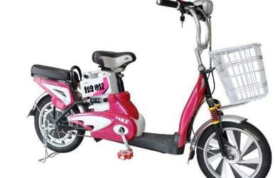 Xe đạp điện "Made in China" bị từ chối thẳng thừng