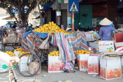 "Bất lực" với chất lượng rau quả nhập khẩu