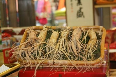 Lừa đảo bán sâm chữa ung thư
