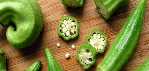 Người chèo lái "con thuyền" Nam Dược