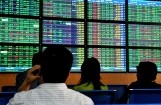 Vì sao Công ty CP Chứng khoán Cao su bị đình chỉ hoạt động?