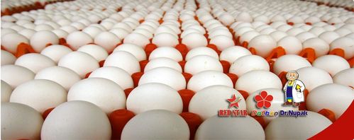 Nhiễm bệnh vì mỹ kí Trung Quốc