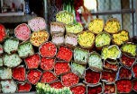 Giá hoa tươi cho ngày nhà giáo không có đột biến