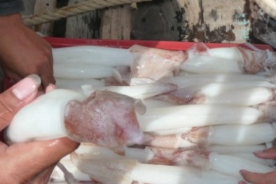 Ra Côn Đảo thưởng thức mực trên biển
