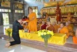 Sự thật đắng lòng về sư thầy bị Mr.Đàm "khóa môi"