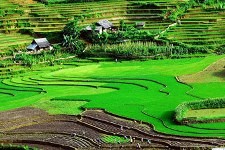 Vẻ đẹp mê đắm của núi rừng Sơn La