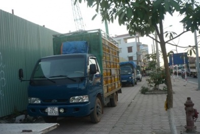 Xe ô tô chở gà không qua kiểm dịch đánh võng CSGT