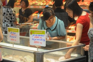Gà dai Hàn Quốc là gà "loại thải"