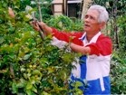 Từ "hỏng mắt, cụt tay, ăn mày" thành tỷ phú