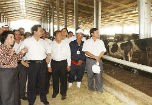 Hướng sản phẩm sữa vào hợp chuẩn, hợp quy