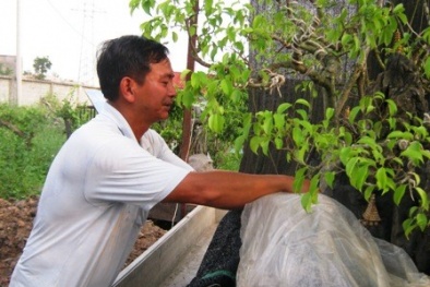 Giám đốc 'dị nhân' không bằng cấp