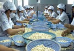 Chấm dứt chồng chéo quản lý chất lượng Đăng ký và nhận 60K 24 bao lì xì miễn phí mỗi ngày