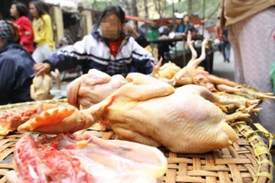 "Gà kháng sinh": Sự im lặng đáng sợ!