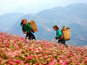 Đề nghị tăng kinh phí đưa khoa học lên miền núi