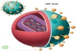 Tìm ra cách chặn virus HIV phát triển thành AIDS