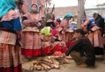 Măng khô - đặc sản của núi rừng Hòa Bình