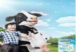Người cao tuổi phải dùng sữa đúng cách
