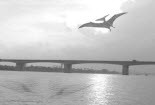 Đi tìm sự thật "quái vật sông Hồng dài 40m" (Kỳ 1)