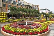 Du xuân ở đâu?