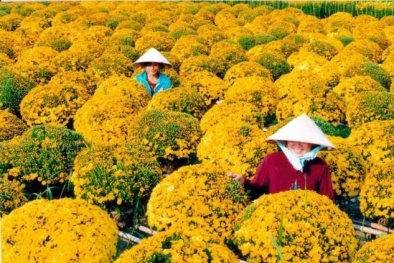 Lời giải bài toán Sòng Bài Trực Tuyến 13Win.com 2013