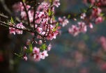 Du lịch khuyến mại rầm rộ cho phái đẹp