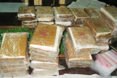 Tiến sỹ Luật đi...chạy án