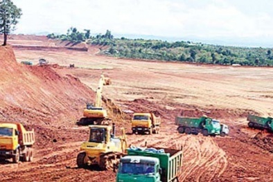 Boxit Tây Nguyên: Nhà khoa học vào cuộc