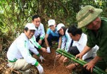 Nâng cao ý thức trồng cây xanh cho thanh niên