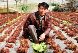 "Lão nông" giàu sụ nhờ rau “tử tế”