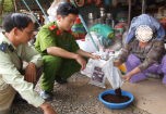ĐắkLắk: Cà phê rởm lên ngôi