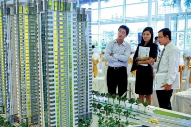 "Alan Phan và Hiệp hội bất động sản đều sai"