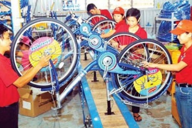 Xe đạp nội “chết tức tưởi” trên sân nhà