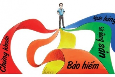 Ông chủ Tập đoàn Phú Thái và câu chuyện "bỏ trứng vào một giỏ hay nhiều”?