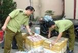 Ngao, hàu, mực đông lạnh "quá đát" suýt vào nhà hàng
