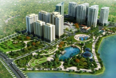Công ty mua dự án lừa để... lừa