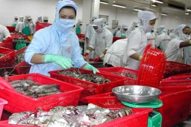 Cơ sở sản xuất nông, lâm, thủy sản vi phạm nhãn mác tràn lan