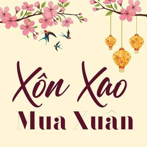 Ca sỹ Anh Thơ tiếp lửa “Một thời để nhớ”