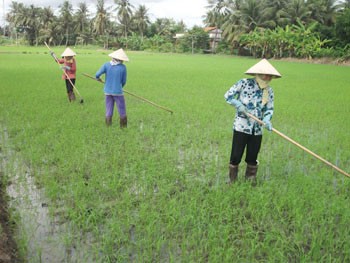 Định hình nền Đăng ký và nhận 60K 24 bao lì xì miễn phí mỗi ngày nhờ ứng dụng KHCN
