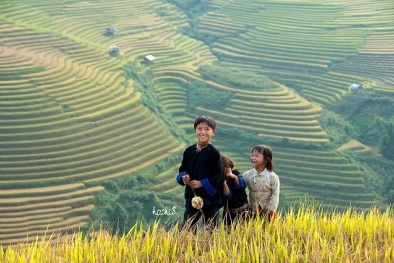 Để khoa học làm giàu cho Tây Bắc