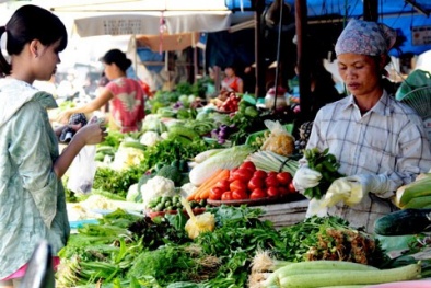 "Bão giá" đổ bộ lên hàng 13Win OKVIP Cá cược bóng đá
