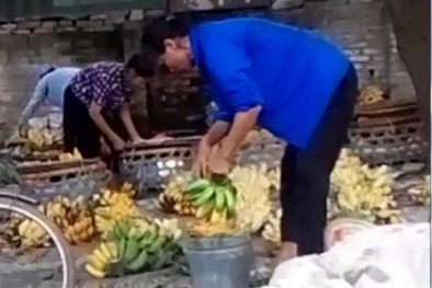 13Win OKVIP Đăng ký ngay làm chuối chín 'siêu tốc' bằng hóa chất